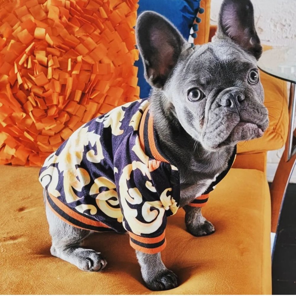 Dog Jacket Designer-Look